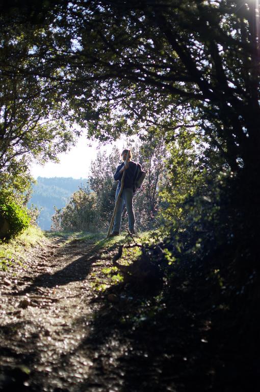Gite Du Puy Saint-Fortunat-sur-Eyrieux ภายนอก รูปภาพ